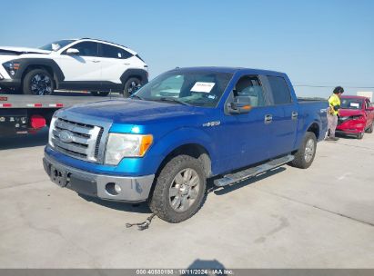 2009 FORD F-150 XLT Blue  Gasoline 1FTRW12829FA56630 photo #3