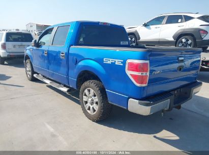 2009 FORD F-150 XLT Blue  Gasoline 1FTRW12829FA56630 photo #4