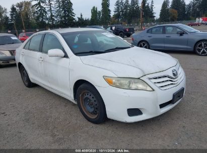 2010 TOYOTA CAMRY LE White  Gasoline 4T1BF3EK6AU536508 photo #1