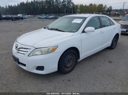 2010 TOYOTA CAMRY LE White  Gasoline 4T1BF3EK6AU536508 photo #3