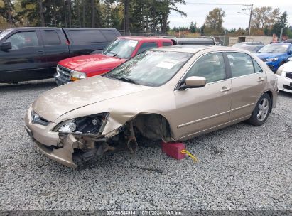 2005 HONDA ACCORD 2.4 EX Champagne  Gasoline 1HGCM56815A013905 photo #3