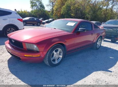 2006 FORD MUSTANG V6 Red  Gasoline 1ZVFT80N065223319 photo #3