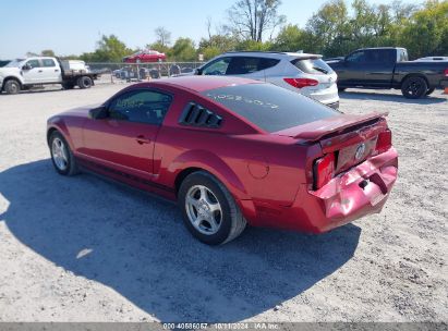 2006 FORD MUSTANG V6 Red  Gasoline 1ZVFT80N065223319 photo #4