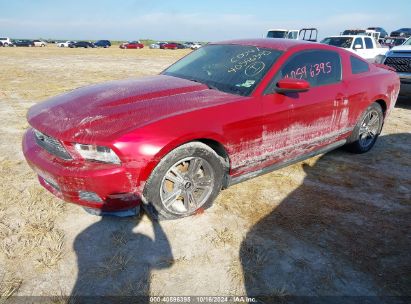 2010 FORD MUSTANG V6/V6 PREMIUM Red  Gasoline 1ZVBP8ANXA5155735 photo #3