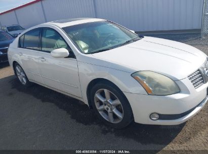 2006 NISSAN MAXIMA 3.5 SE White  Gasoline 1N4BA41E86C839172 photo #1