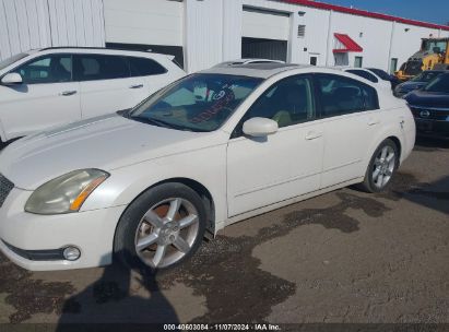 2006 NISSAN MAXIMA 3.5 SE White  Gasoline 1N4BA41E86C839172 photo #3