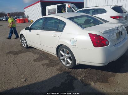 2006 NISSAN MAXIMA 3.5 SE White  Gasoline 1N4BA41E86C839172 photo #4