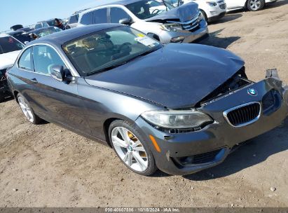 2014 BMW 228I Gray  Gasoline WBA1F5C5XEV255933 photo #1