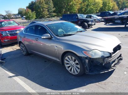 2009 JAGUAR XF PREMIUM LUXURY Champagne  Gasoline SAJWA06B29HR07672 photo #1