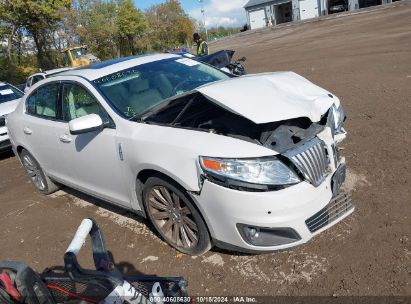 2010 LINCOLN MKS White  Gasoline 1LNHL9DR4AG607854 photo #1