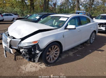 2010 LINCOLN MKS White  Gasoline 1LNHL9DR4AG607854 photo #3