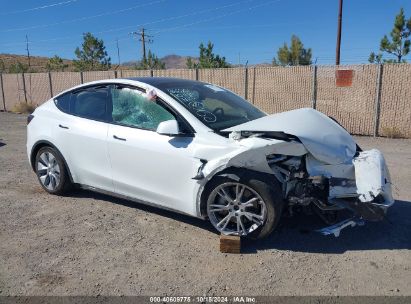 2023 TESLA MODEL Y AWD/LONG RANGE DUAL MOTOR ALL-WHEEL DRIVE White  Electric 7SAYGDEE3PA124284 photo #1