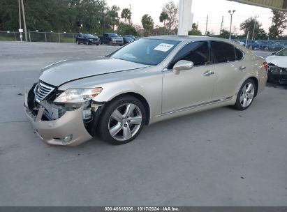 2012 LEXUS LS 460 Gold  Gasoline JTHBL5EF6C5111538 photo #3