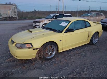 2002 FORD MUSTANG GT Yellow  Gasoline 1FAFP42XX2F108686 photo #3