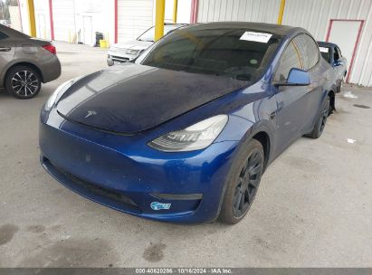 2021 TESLA MODEL Y LONG RANGE DUAL MOTOR ALL-WHEEL DRIVE Blue  Electric 5YJYGDEE2MF070732 photo #3