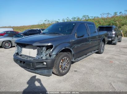 2020 FORD F-150 XLT Gray  Gasoline 1FTEW1CP7LFB51177 photo #3