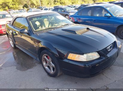 2003 FORD MUSTANG GT Black  Gasoline 1FAFP45XX3F432685 photo #1