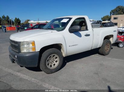 2010 CHEVROLET SILVERADO 1500 WORK TRUCK White  Flexible Fuel 1GCPKPEA7AZ292214 photo #3