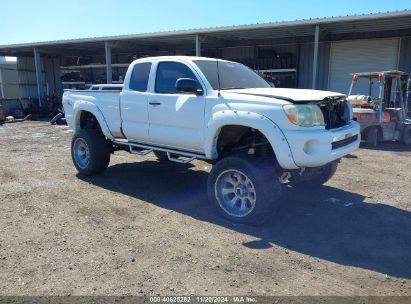 2008 TOYOTA TACOMA BASE V6 White  Gasoline 5TEUU42N28Z531007 photo #1