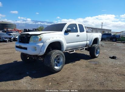 2008 TOYOTA TACOMA BASE V6 White  Gasoline 5TEUU42N28Z531007 photo #3