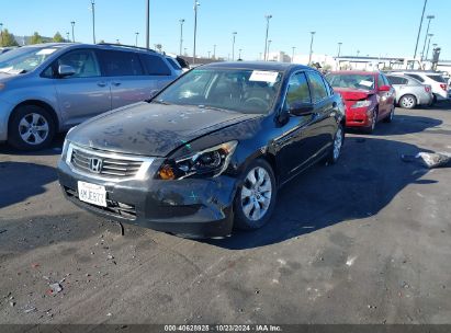 2010 HONDA ACCORD 2.4 EX Black  Gasoline 1HGCP2F72AA157132 photo #3