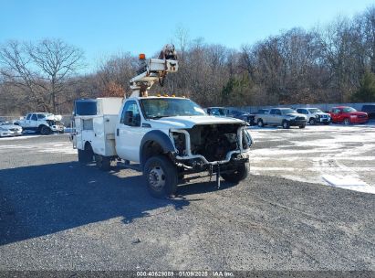 2012 FORD F-450 CHASSIS XL   Gasoline 1FDUF4GY8CEA44446 photo #1