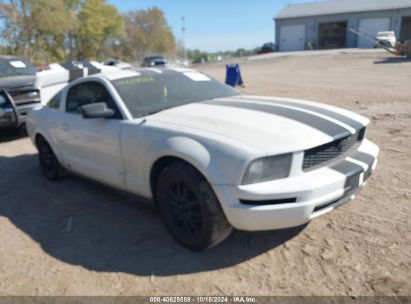 2008 FORD MUSTANG V6 DELUXE/V6 PREMIUM White  Gasoline 1ZVHT80N185198457 photo #1