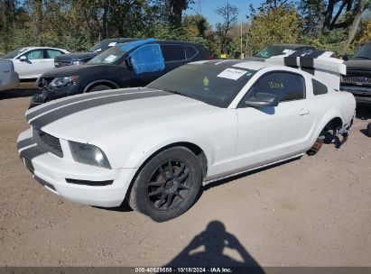 2008 FORD MUSTANG V6 DELUXE/V6 PREMIUM White  Gasoline 1ZVHT80N185198457 photo #3