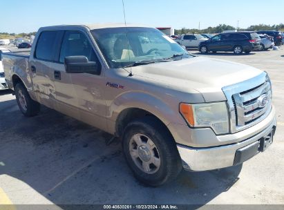 2010 FORD F-150 FX2 SPORT/XL/XLT Gold  Gasoline 1FTEW1C82AFB55823 photo #1