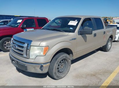 2010 FORD F-150 FX2 SPORT/XL/XLT Gold  Gasoline 1FTEW1C82AFB55823 photo #3