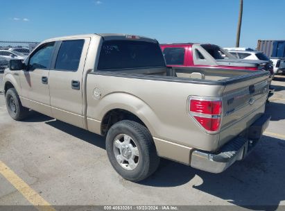 2010 FORD F-150 FX2 SPORT/XL/XLT Gold  Gasoline 1FTEW1C82AFB55823 photo #4