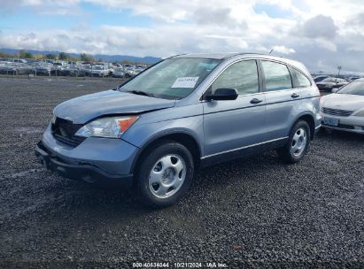 2008 HONDA CR-V LX Light Blue  Gasoline JHLRE48388C080692 photo #3