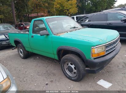 1996 DODGE DAKOTA Green  Gasoline 1B7GG26X7TS665688 photo #1