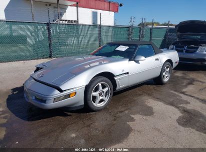 1996 CHEVROLET CORVETTE Silver  Gasoline 1G1YY32P0T5110084 photo #3