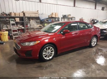 2019 FORD FUSION SE Red  Gasoline 3FA6P0HD0KR198939 photo #3