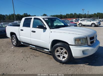 2010 DODGE DAKOTA BIGHORN/LONESTAR White  Gasoline 1D7CE3GK7AS147550 photo #1