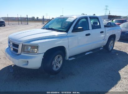 2010 DODGE DAKOTA BIGHORN/LONESTAR White  Gasoline 1D7CE3GK7AS147550 photo #3