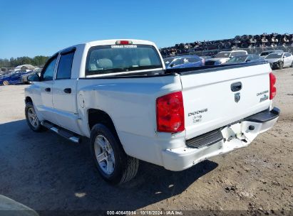 2010 DODGE DAKOTA BIGHORN/LONESTAR White  Gasoline 1D7CE3GK7AS147550 photo #4