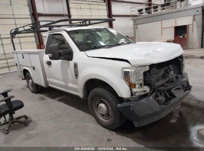 2019 FORD F-350 XL White  Gasoline 1FDBF3A66KED19626 photo #1