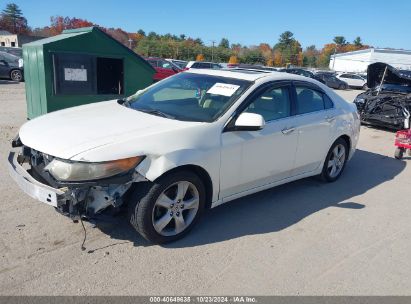 2009 ACURA TSX White  Gasoline JH4CU26629C034282 photo #3