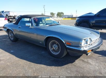 1987 JAGUAR XJS Gray  Gasoline SAJNV5846HC136463 photo #1