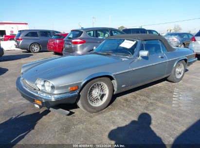 1987 JAGUAR XJS Gray  Gasoline SAJNV5846HC136463 photo #3