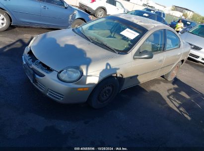 2003 DODGE NEON SE Gold  Gasoline 1B3ES26C83D109981 photo #3