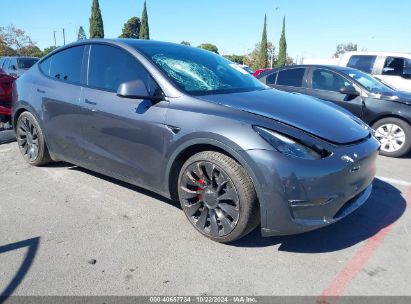 2022 TESLA MODEL Y PERFORMANCE DUAL MOTOR ALL-WHEEL DRIVE Gray  Electric 7SAYGDEF8NF398556 photo #1