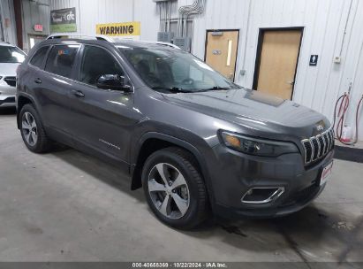 2019 JEEP CHEROKEE LIMITED 4X4 Gray  Flexible Fuel 1C4PJMDX4KD459103 photo #1