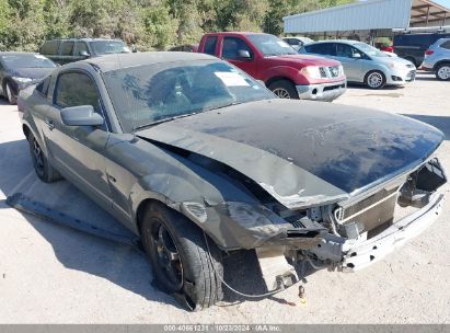 2007 FORD MUSTANG V6 DELUXE/V6 PREMIUM Gray  Gasoline 1ZVFT80N875258756 photo #1