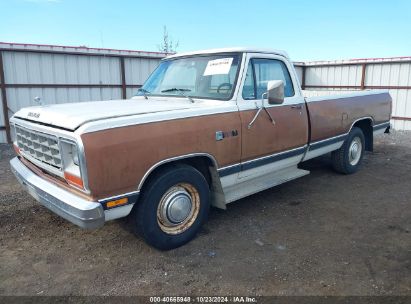 1984 DODGE D-SERIES D200/D250 White  Gasoline 1B7JD24WXES227596 photo #3