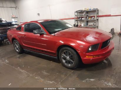 2007 FORD MUSTANG V6 DELUXE/V6 PREMIUM Red  Gasoline 1ZVFT80N975212059 photo #1