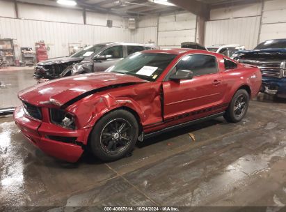 2007 FORD MUSTANG V6 DELUXE/V6 PREMIUM Red  Gasoline 1ZVFT80N975212059 photo #3