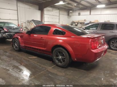 2007 FORD MUSTANG V6 DELUXE/V6 PREMIUM Red  Gasoline 1ZVFT80N975212059 photo #4